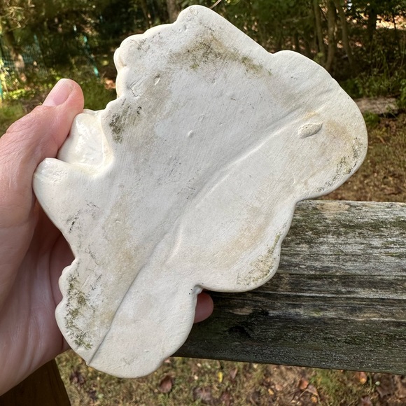 Vintage Triple Cat Succulent Planter - Picture 5 of 6